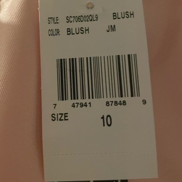 Xtraordinary Big Girls (7-14) Size 10 dress in blush - Picture 6 of 8